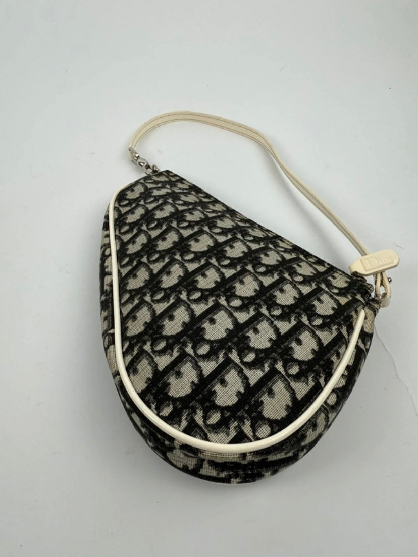Dior mini saddle monogram