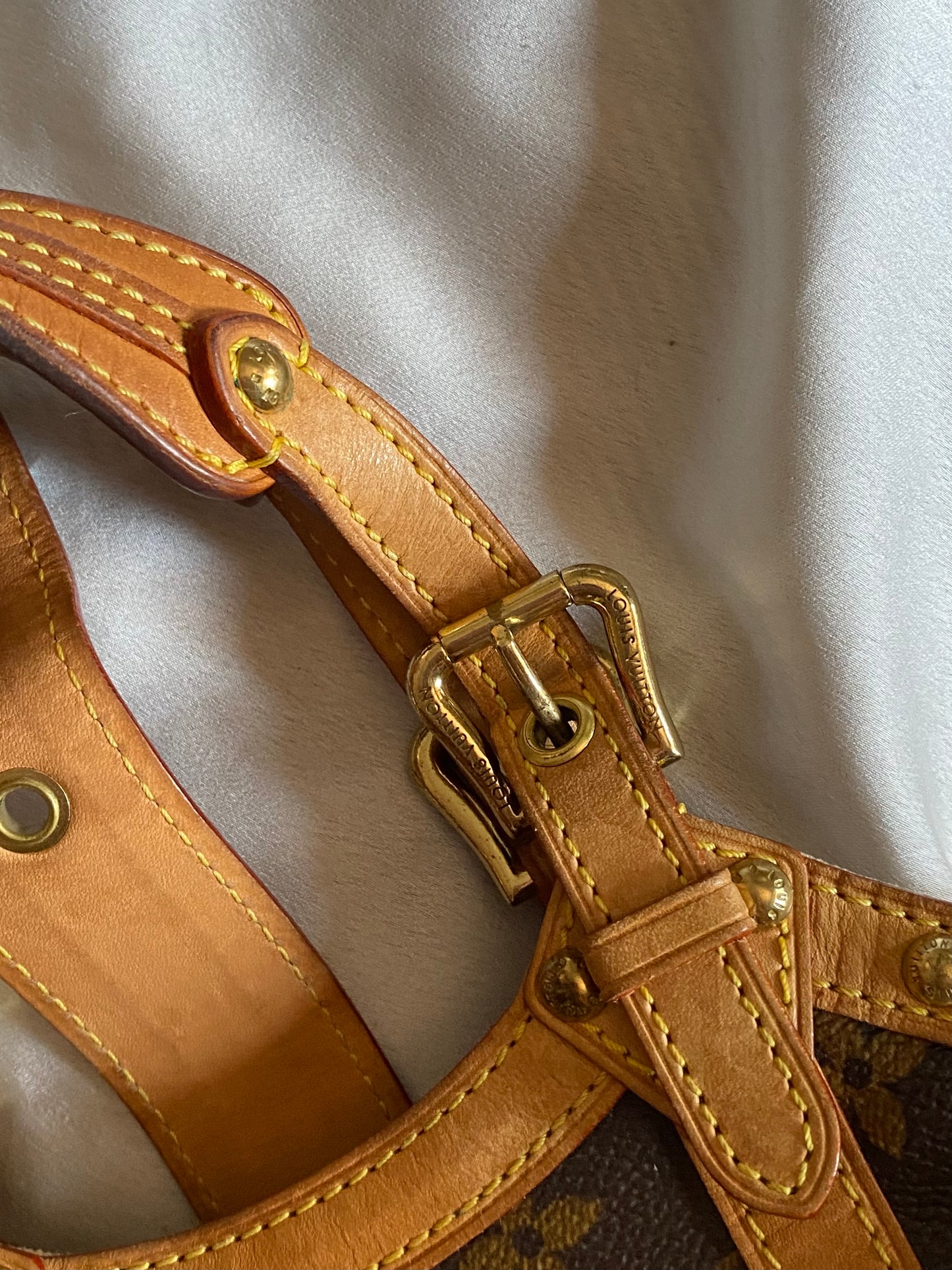 Louis Vuitton Theda pm