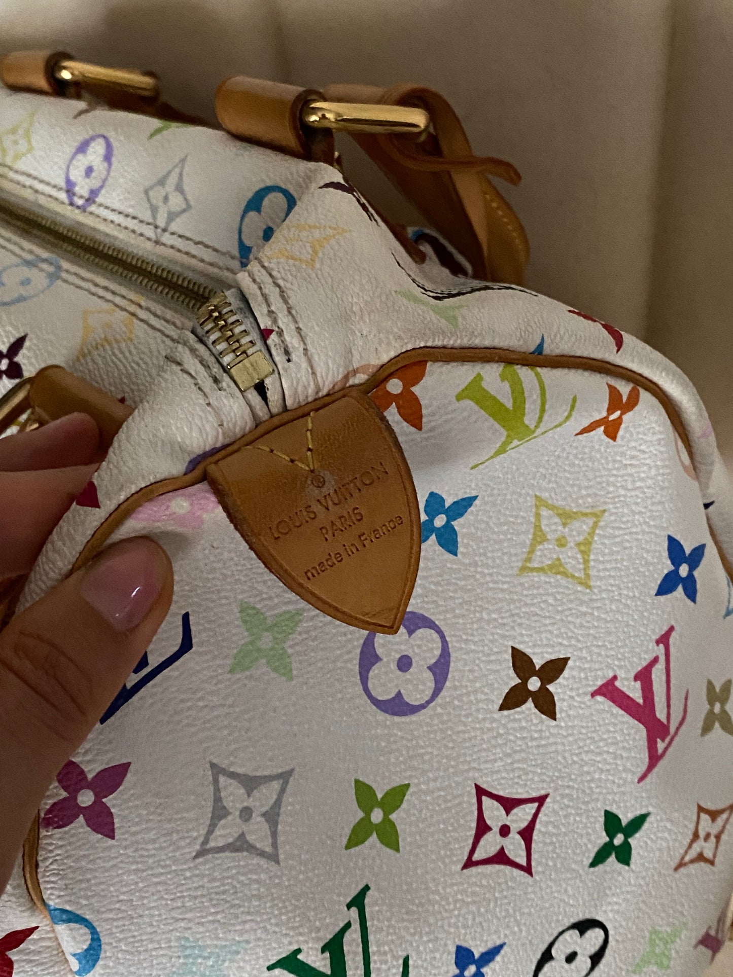 Louis Vuitton multicolor speedy 30 edizione limitata Takashi Murakami