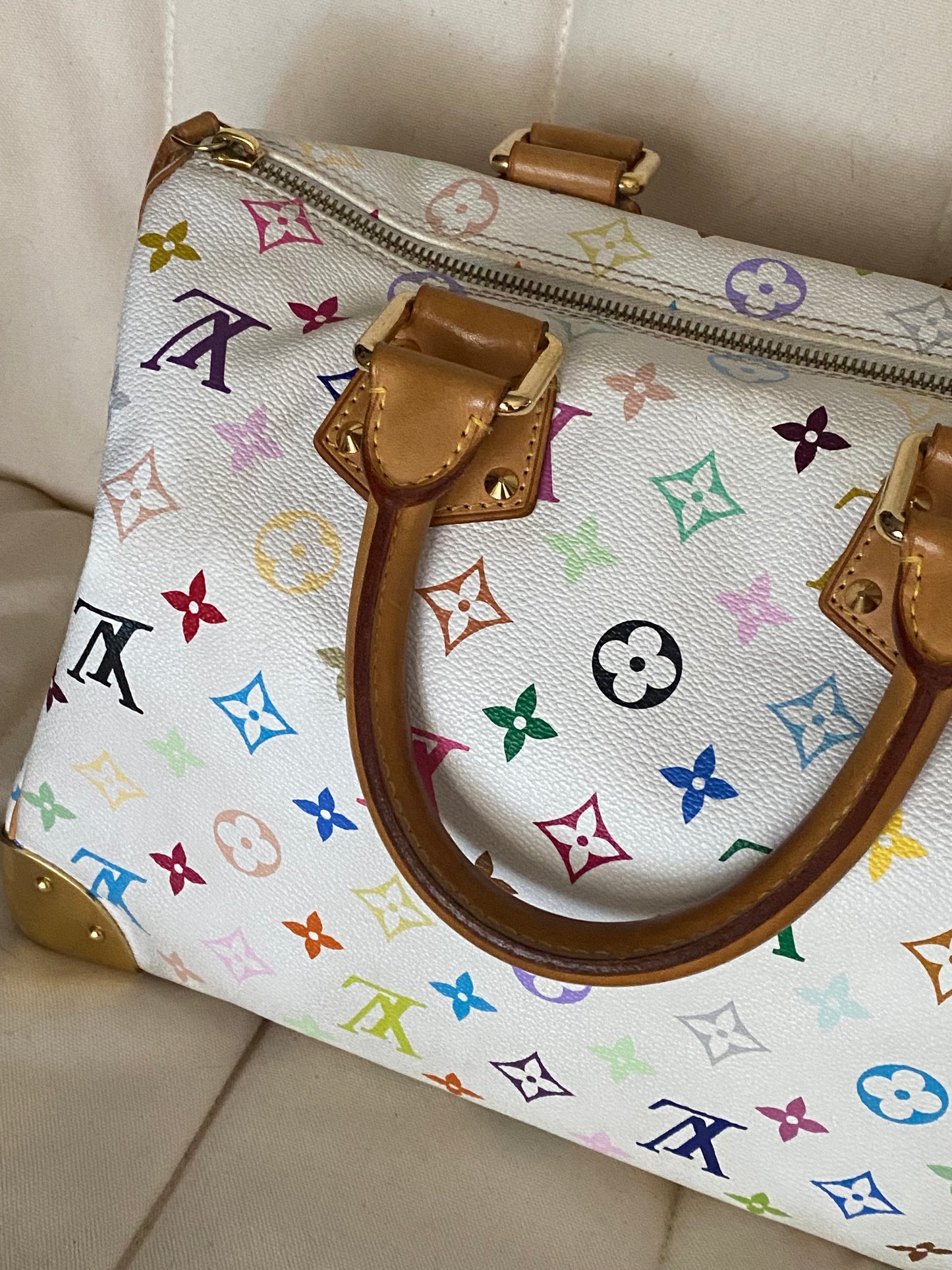Louis Vuitton multicolor speedy 30 edizione limitata Takashi Murakami