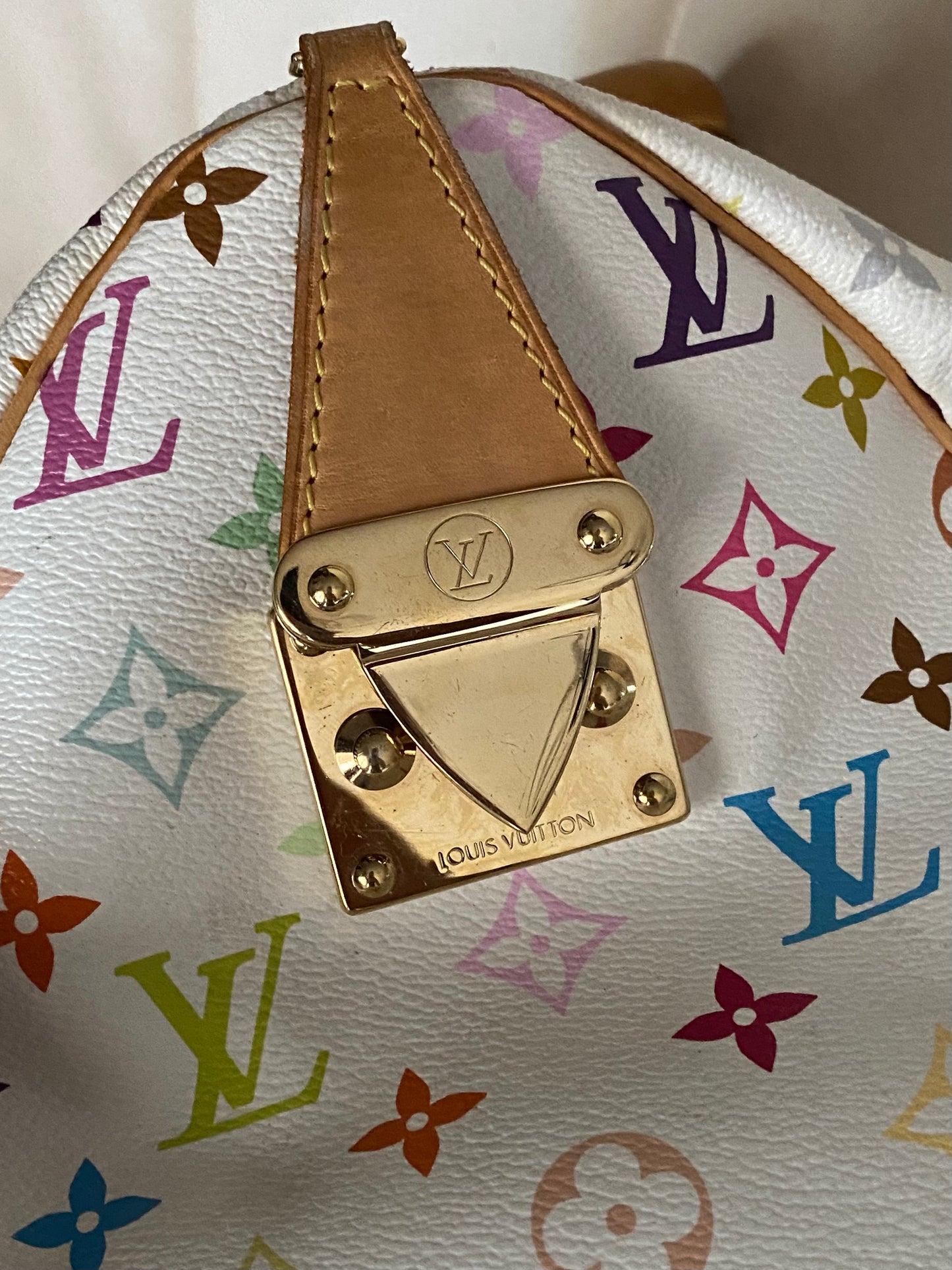 Louis Vuitton multicolor speedy 30 edizione limitata Takashi Murakami