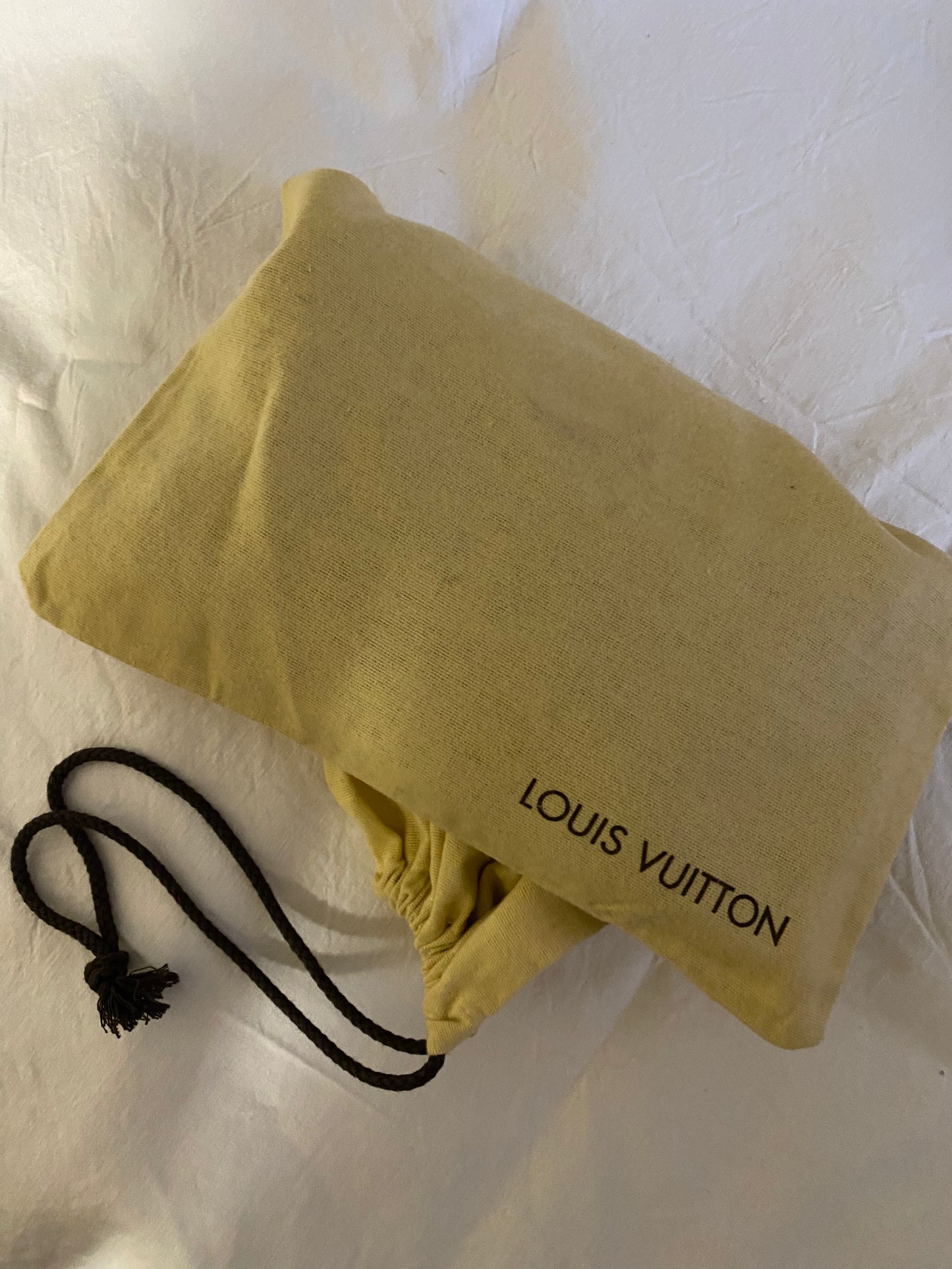 Louis Vuitton pochette accessoire con dustbag