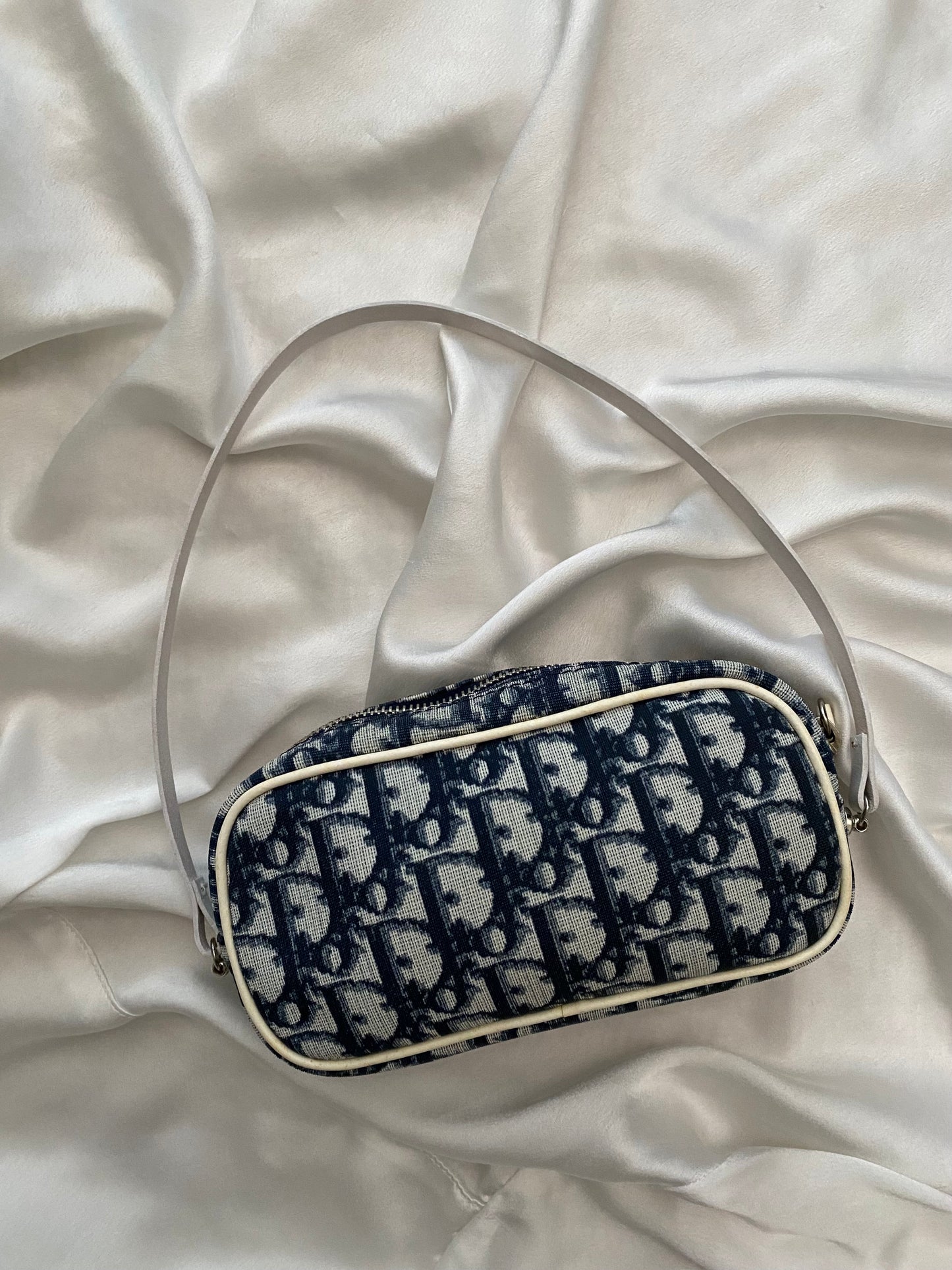 Dior trotter monogram pouch