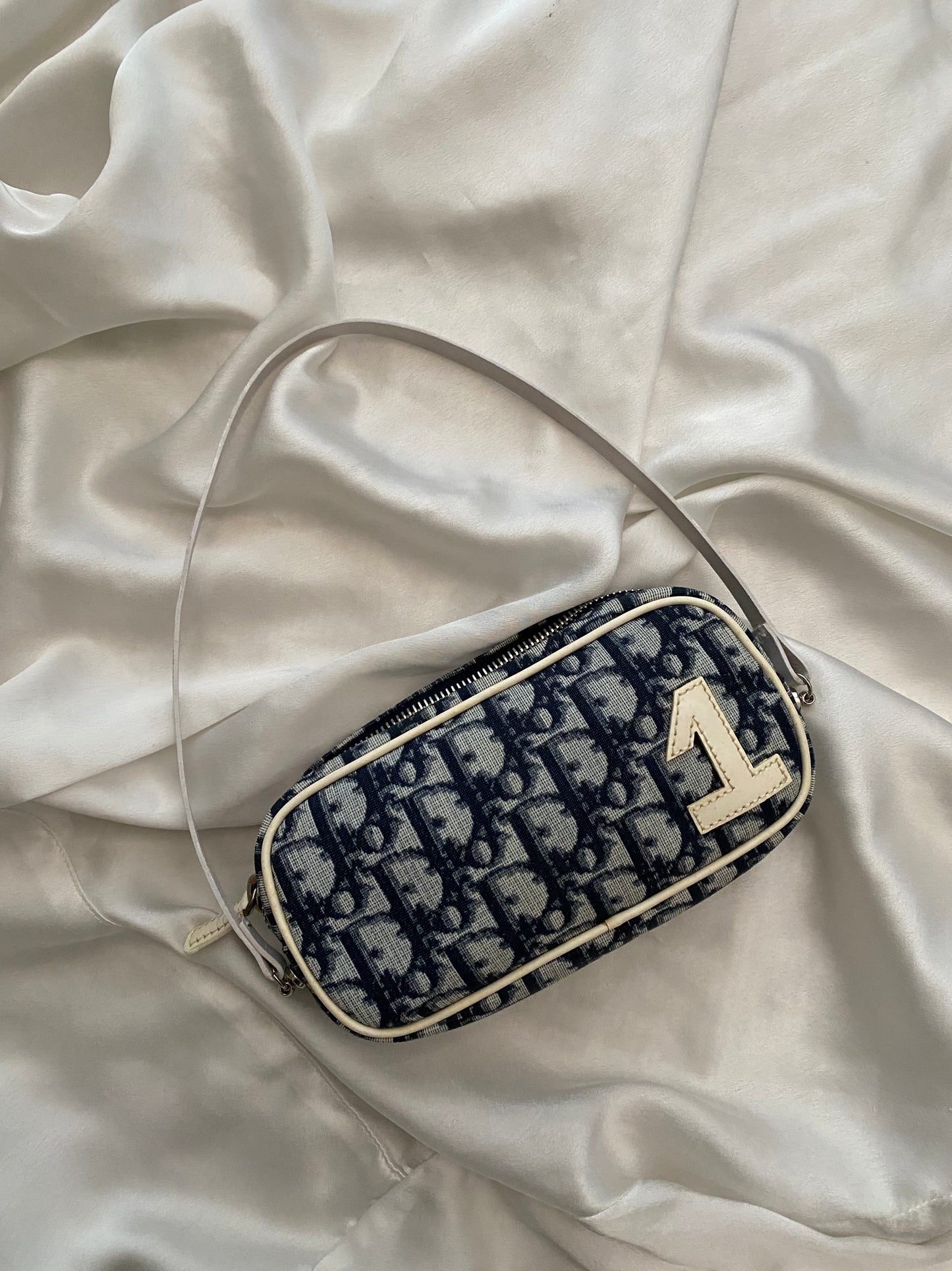 Dior trotter monogram pouch