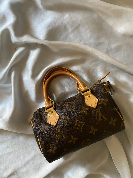 Louis Vuitton Nano Speedy