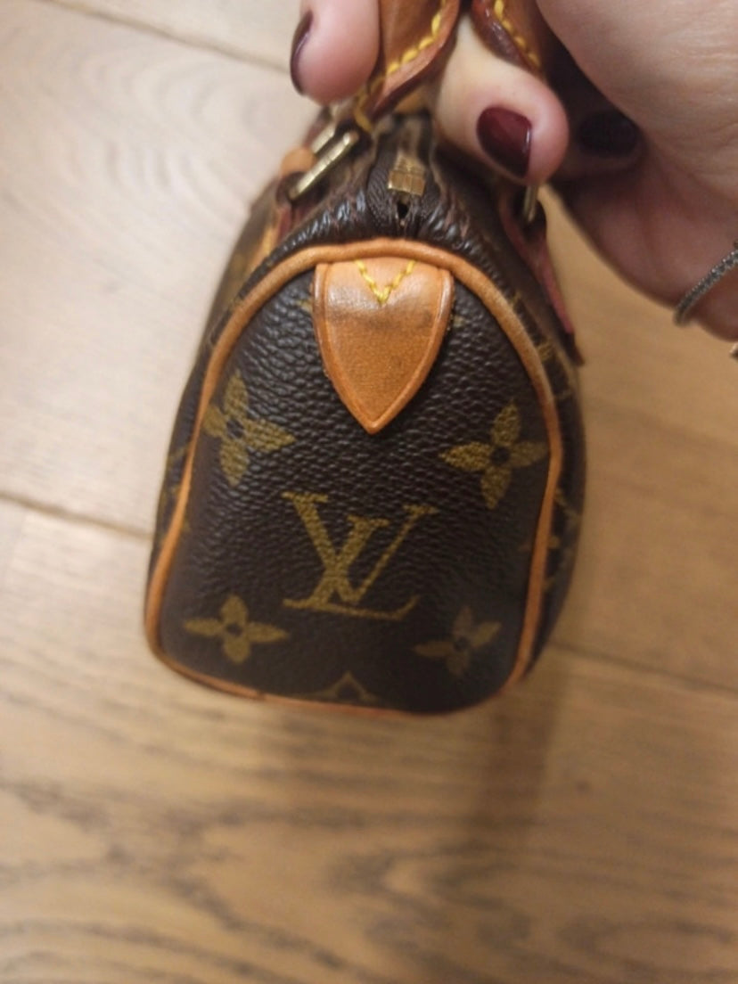 Louis Vuitton Nano Speedy