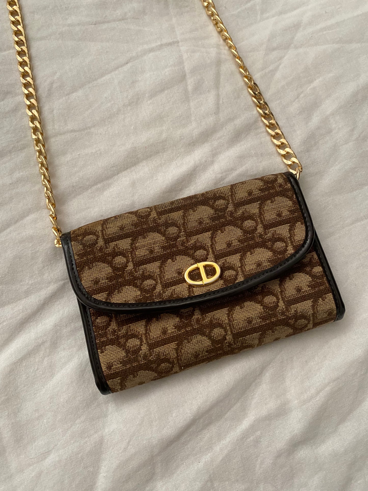 Dior Monogram Canvas Pochette