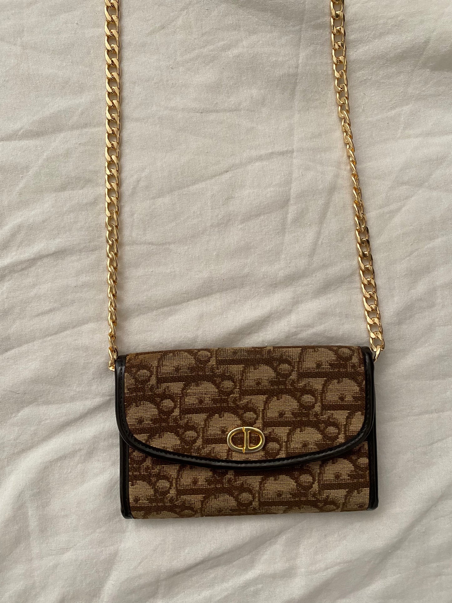 Dior Monogram Canvas Pochette