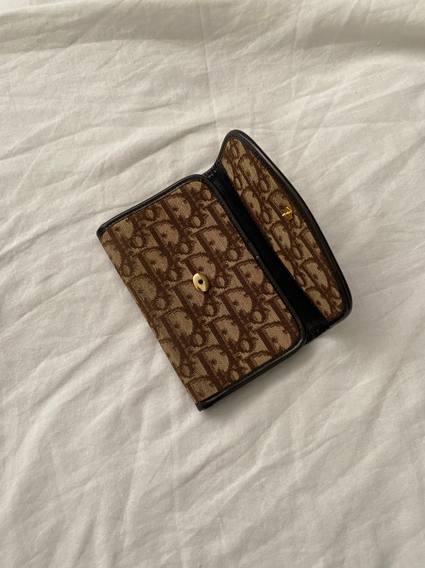 Dior Monogram Canvas Pochette